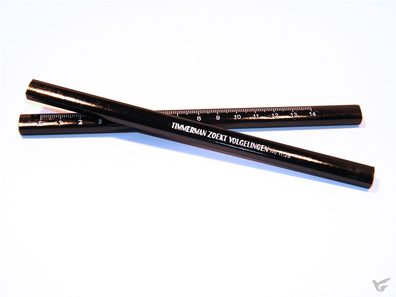 Productafbeelding: voorkant van Potlood Timmerman zoekt volgelingen