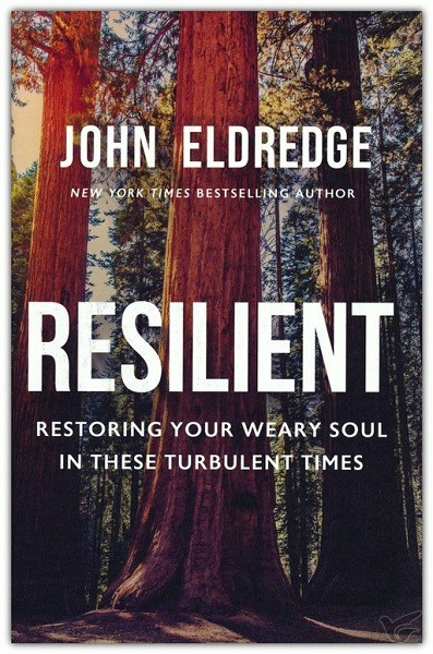 Productafbeelding: voorkant van Resilient