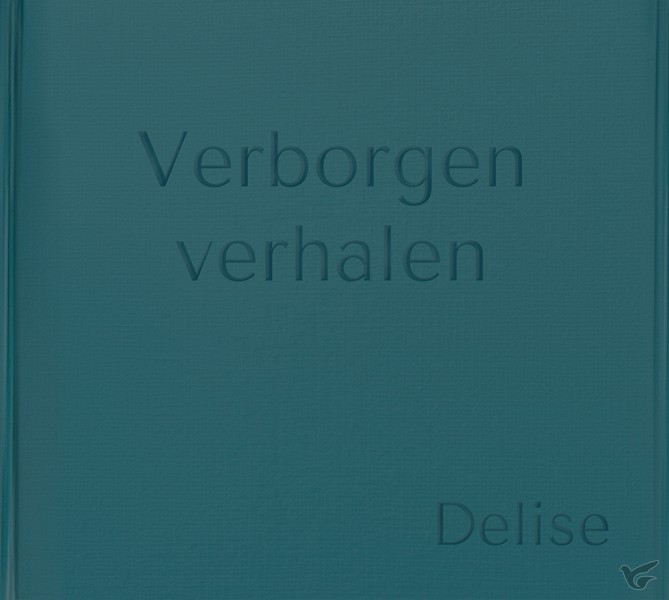 Productafbeelding: voorkant van Verborgen verhalen