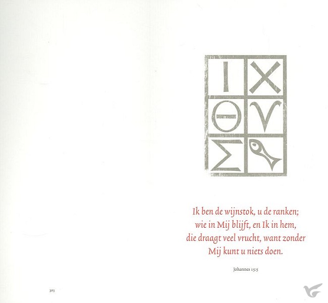 Productafbeelding: voorkant van Belijdeniskaart 303 set 10