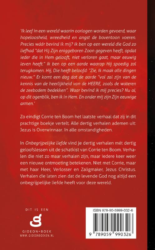 Productafbeelding: achterkant van Onbegrijpelijke liefde