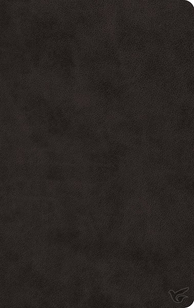 Productafbeelding: voorkant van ESV - LP Value Thinline Bible