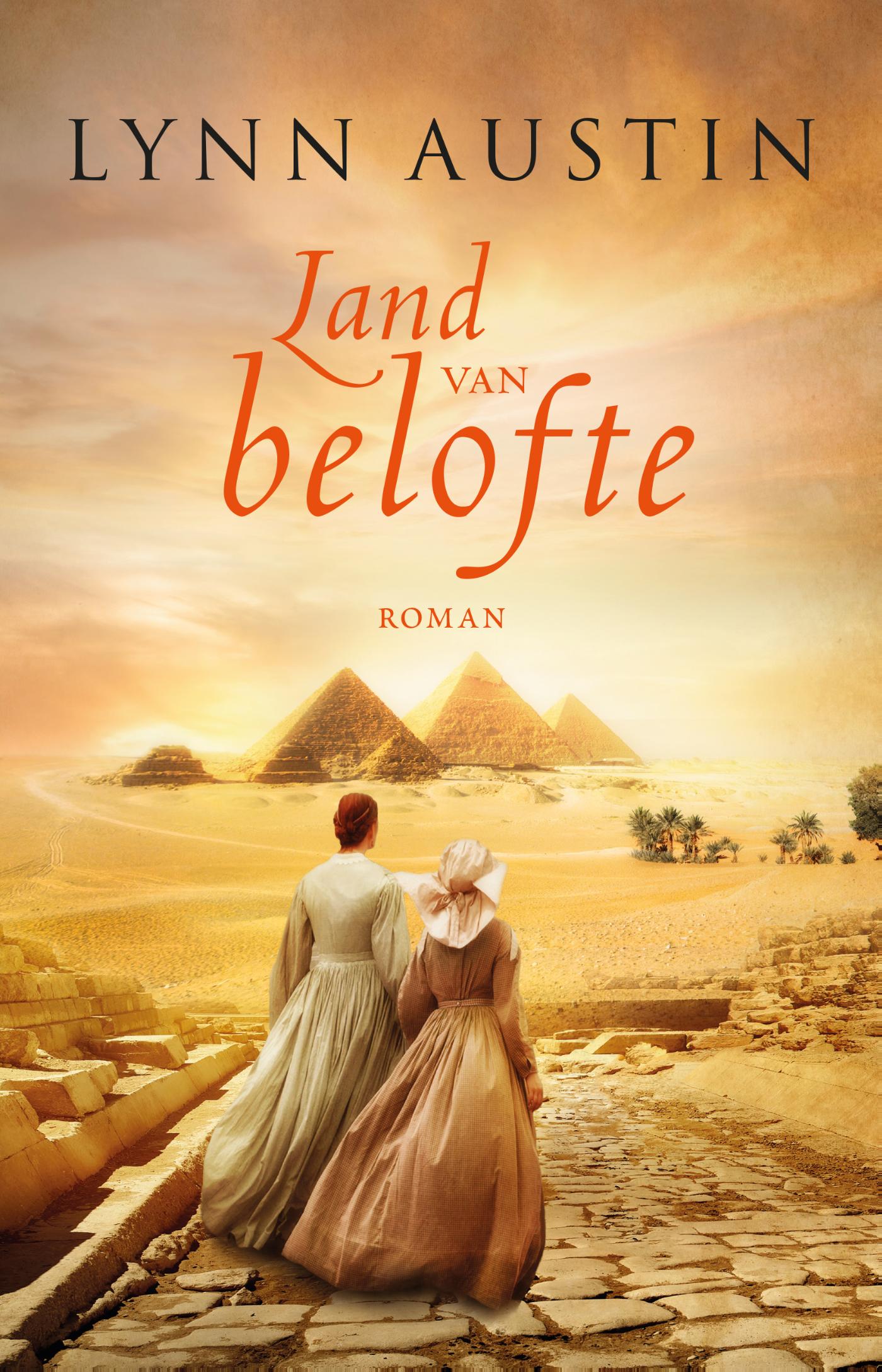 Productafbeelding: voorkant van Land van belofte