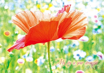 Productafbeelding: voorkant van Poster a2 My joy is your strength