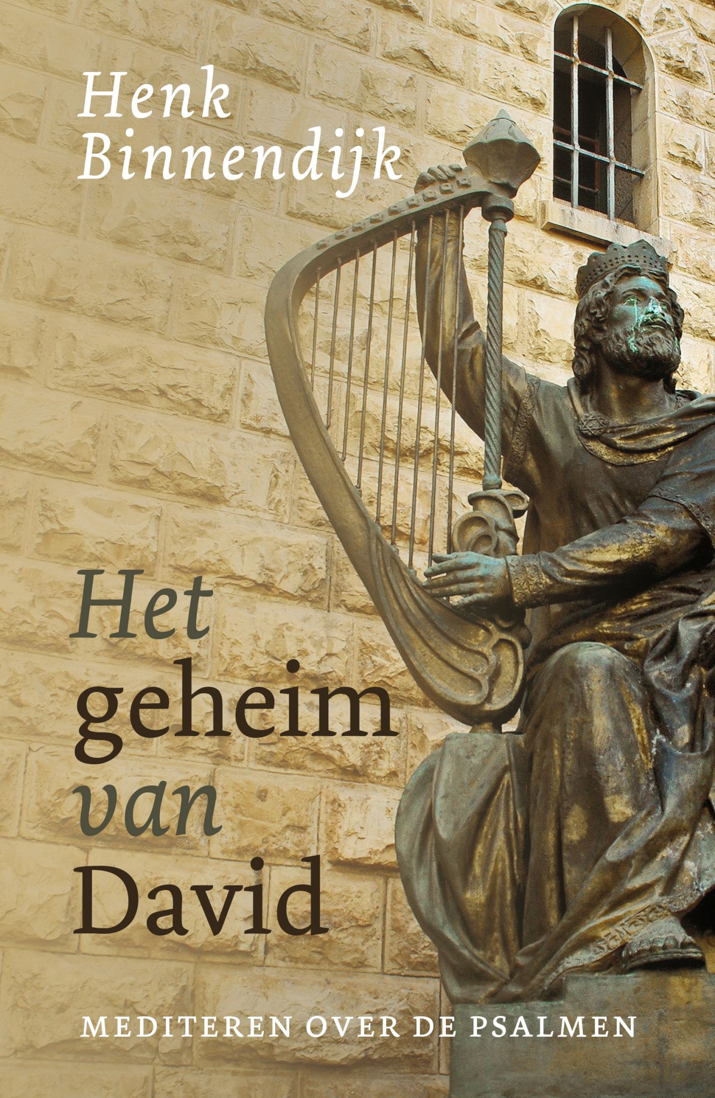 Productafbeelding: voorkant van Het geheim van David